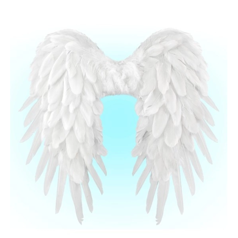 Aripi inger pene albe - imagine 9